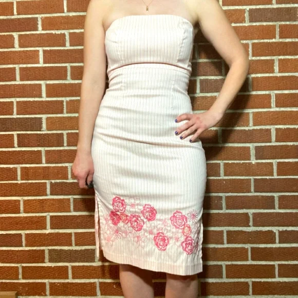 Express | Dresses | Express Strapless Floral Embroidered Dress | Poshmark